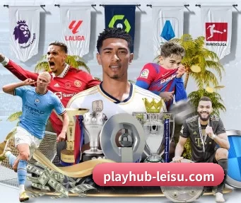 playhub-leisu.com APP