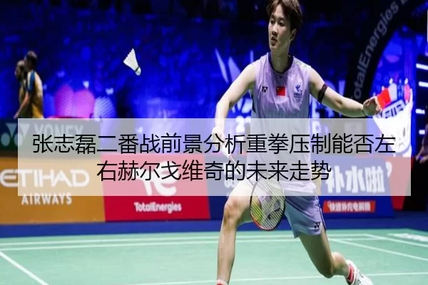 张志磊二番战前景分析重拳压制能否左右赫尔戈维奇的未来走势
